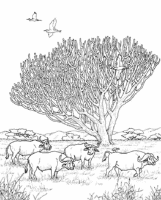 A coloring page of nature in africa